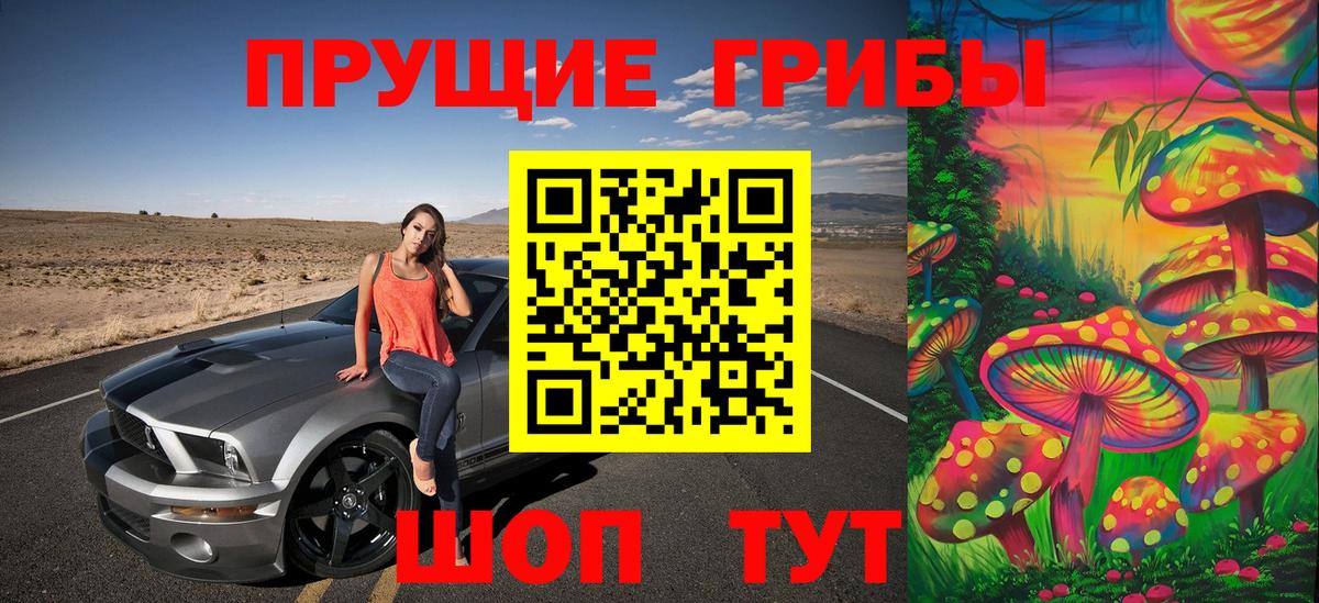 Галлюциногенные грибы прущие грибы Бугуруслан