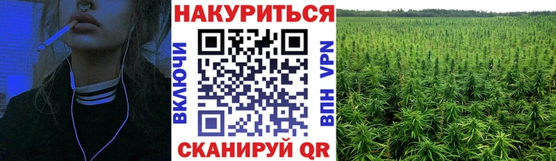 Конопля OG Kush  Бугуруслан 